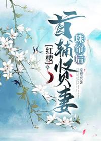 红楼 首辅贤妻珠帘后